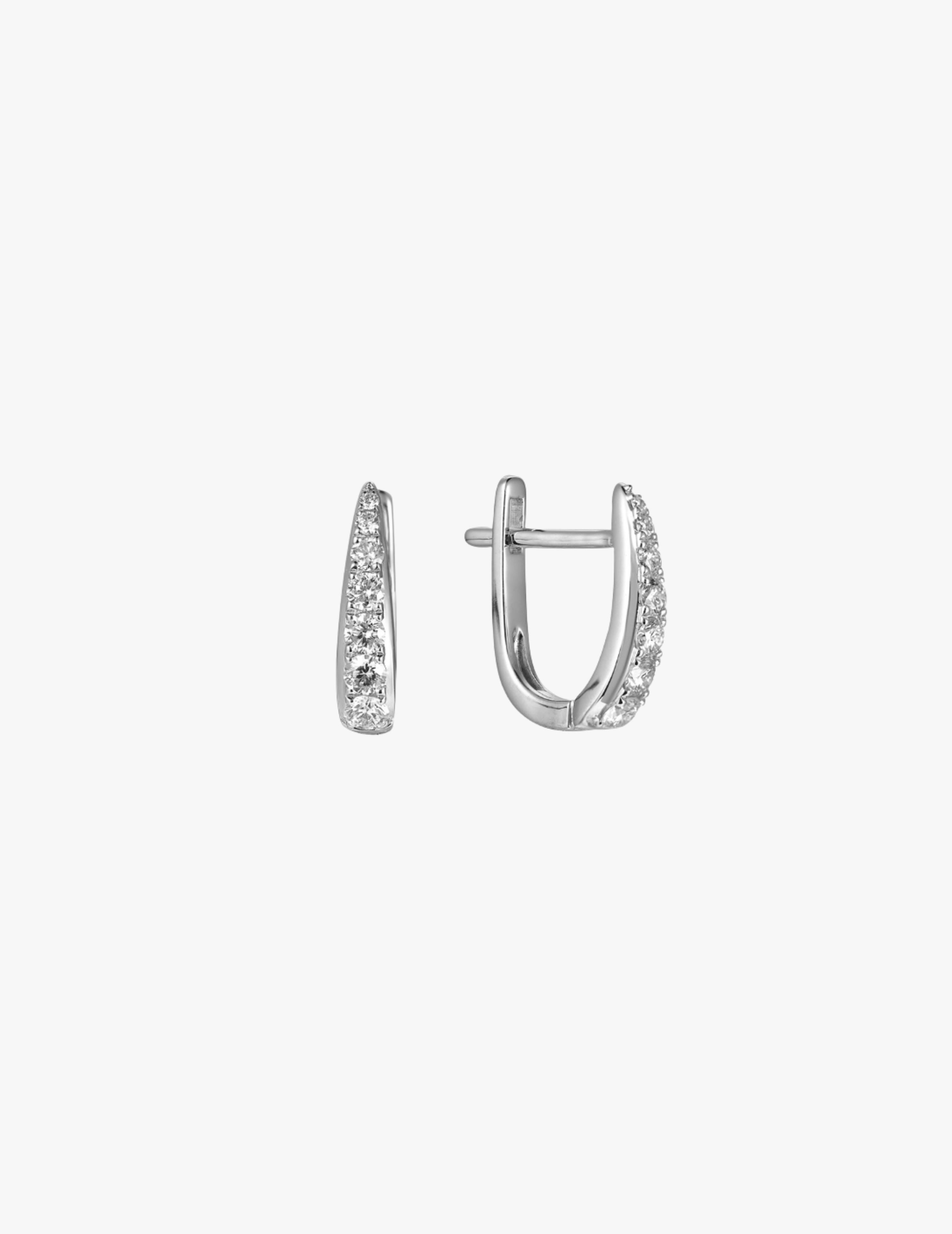 Claw Earring