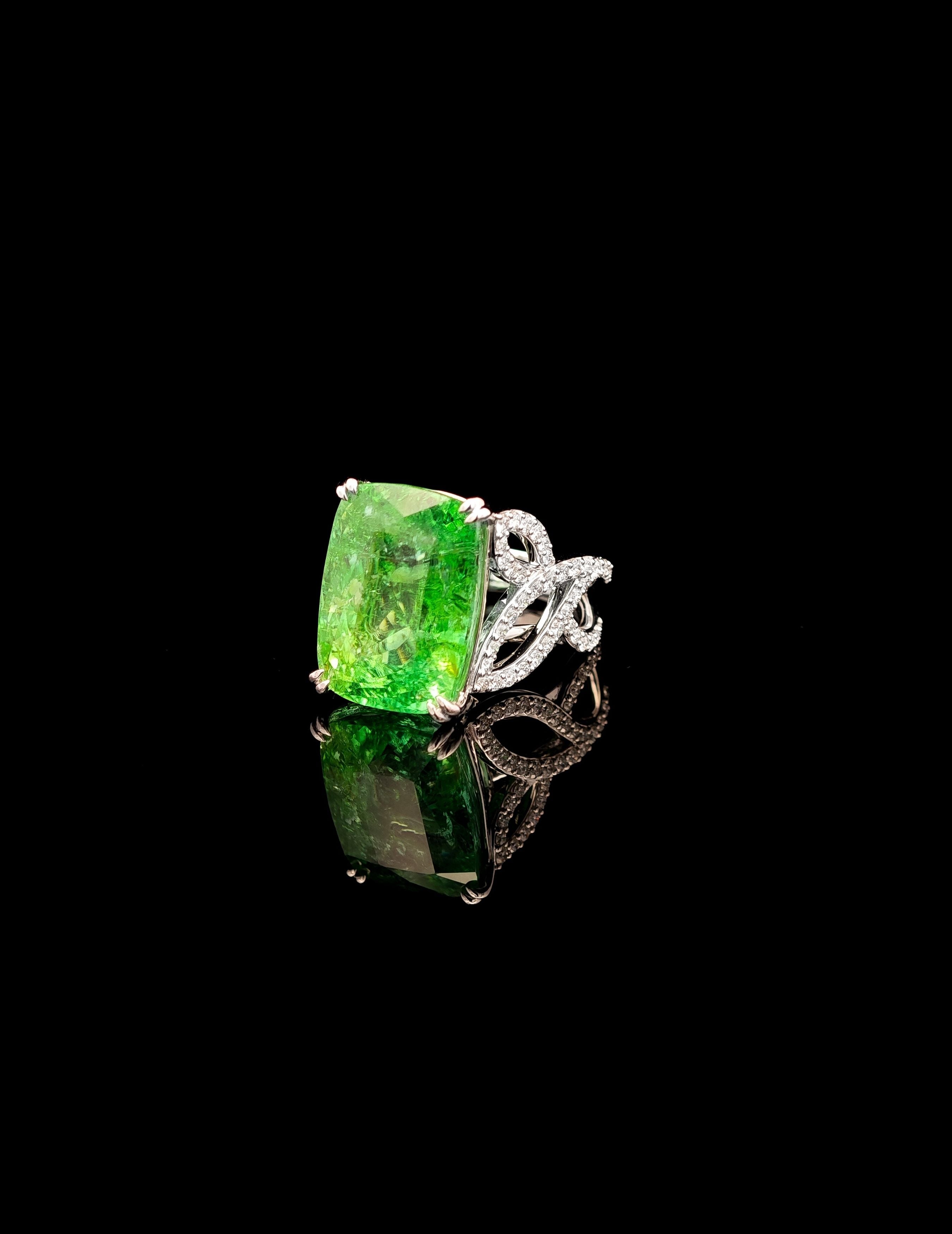22ct.48 Paraiba Ring